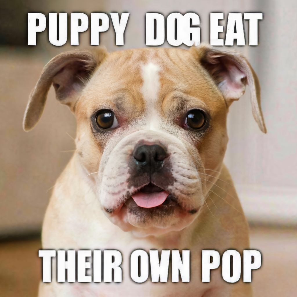 What Happens if the puppy Dog Eat Thier own POP ??